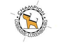 Champion Lorraine Luxembourg